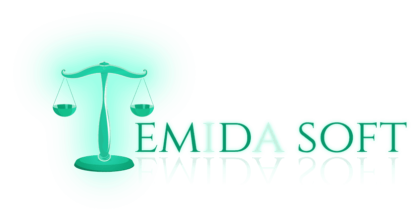 TemidaSoft Logo